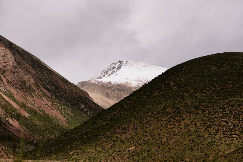 dsc_4876.jpg