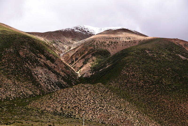dsc_4878.jpg