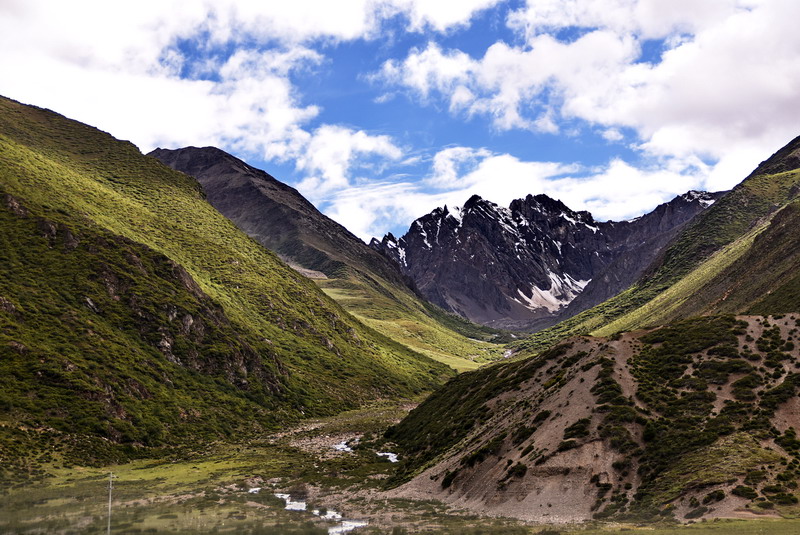 dsc_4907.jpg