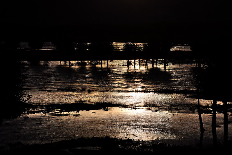 dsc_5203.jpg