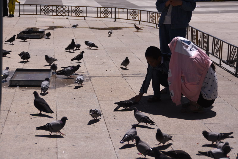 dsc_5211.jpg