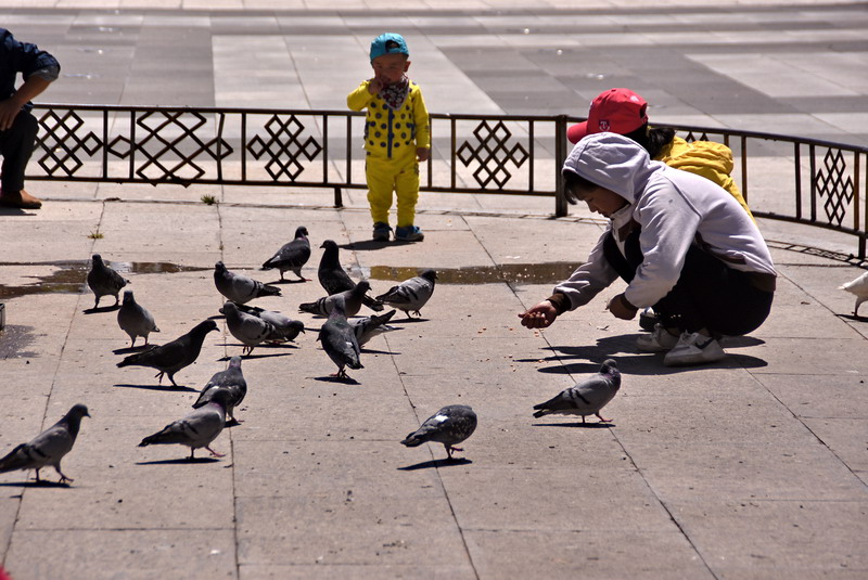 dsc_5216.jpg