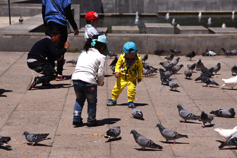 dsc_5224.jpg