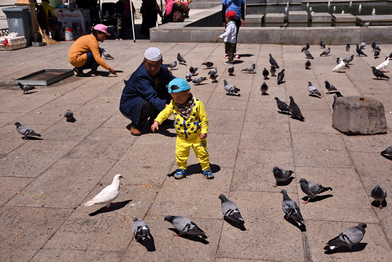 dsc_5225.jpg