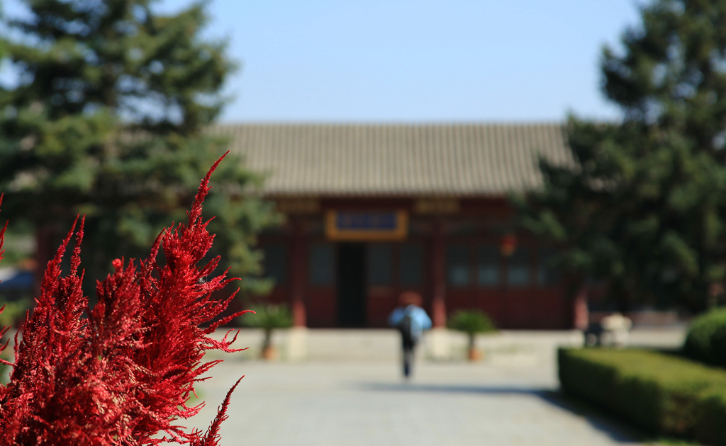 img_6276_副本_副本.jpg