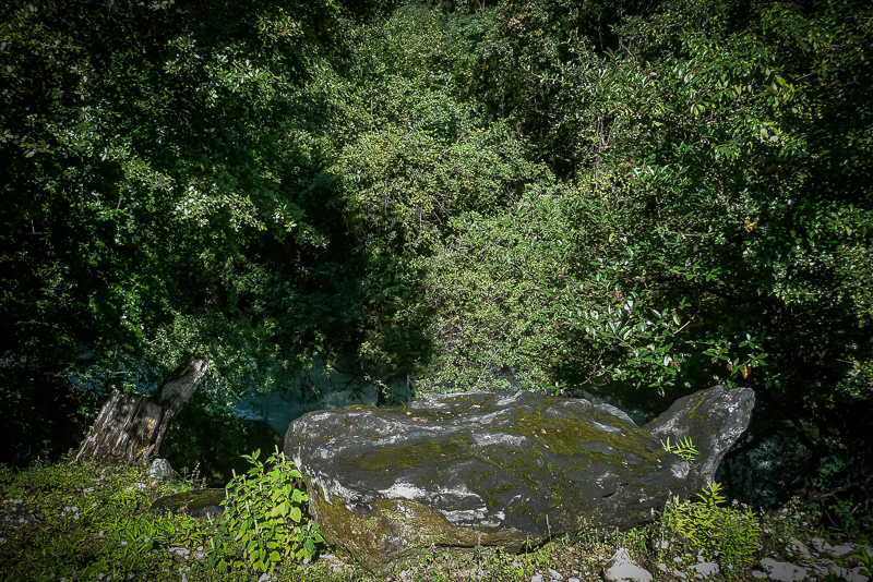 20161001-14.jpg