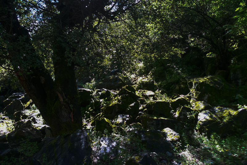 20161001-15.jpg