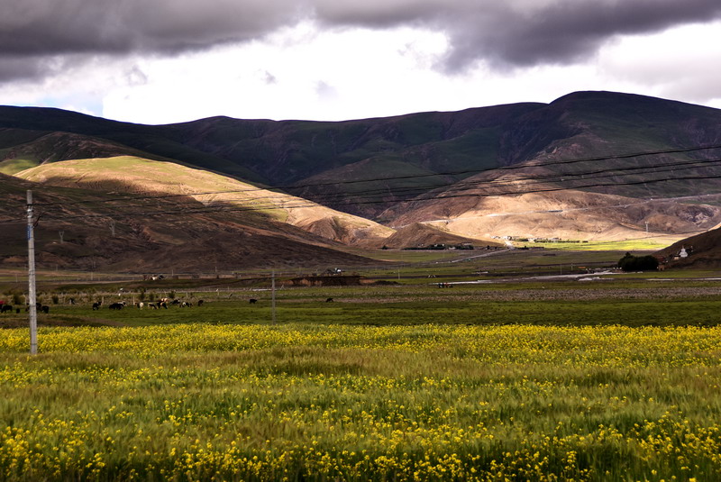 dsc_5641.jpg