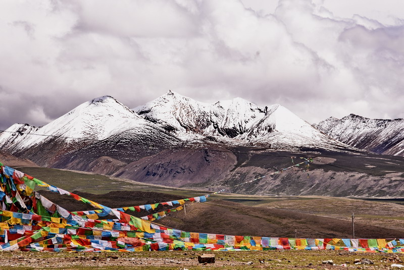 dsc_5699.jpg