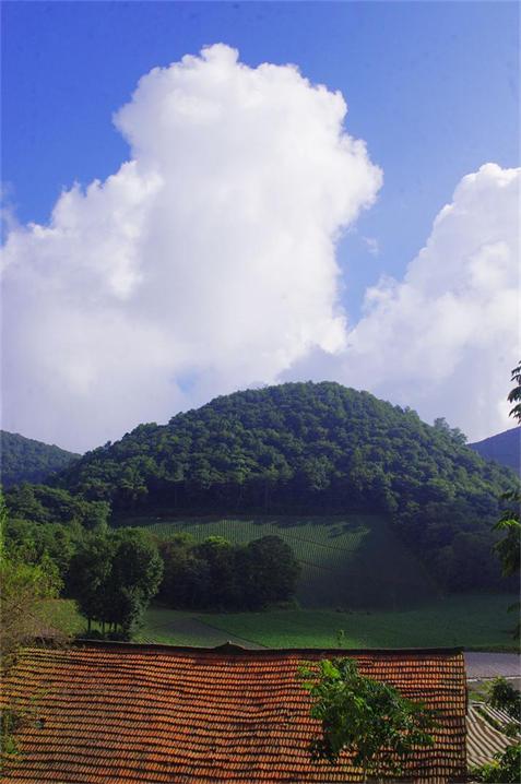 _igp7695.jpg