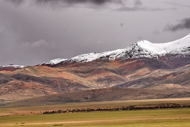 dsc_6030.jpg