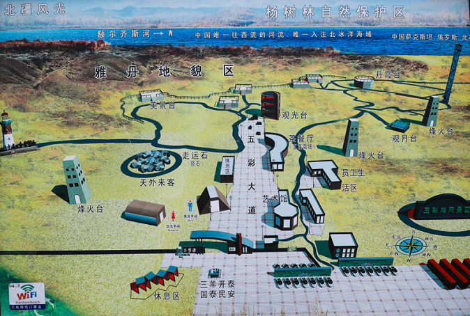 ce6i5374_副本.jpg