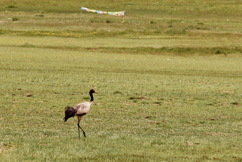 dsc_6163.jpg
