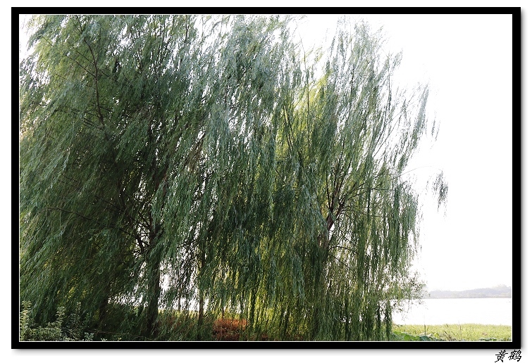 ٺ--赺020.jpg