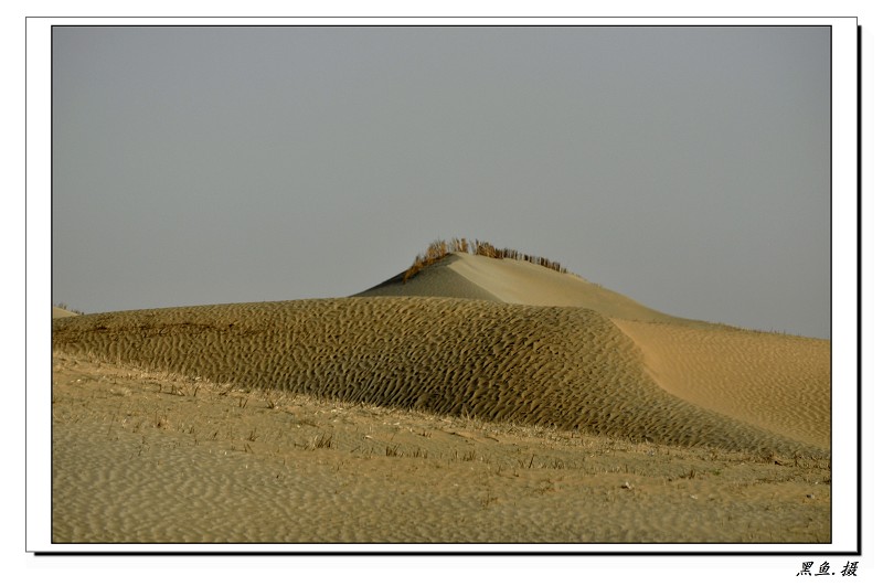 ɳĮ1 (24)_Ŀѹ.jpg