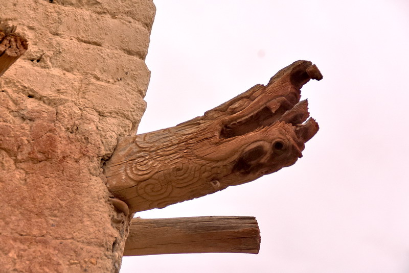 dsc_6592.jpg