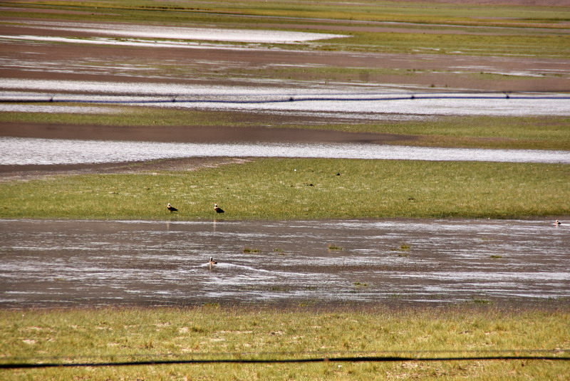 dsc_6795.jpg