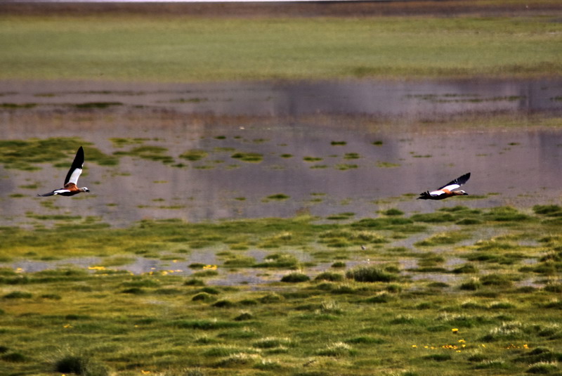 dsc_6836.jpg