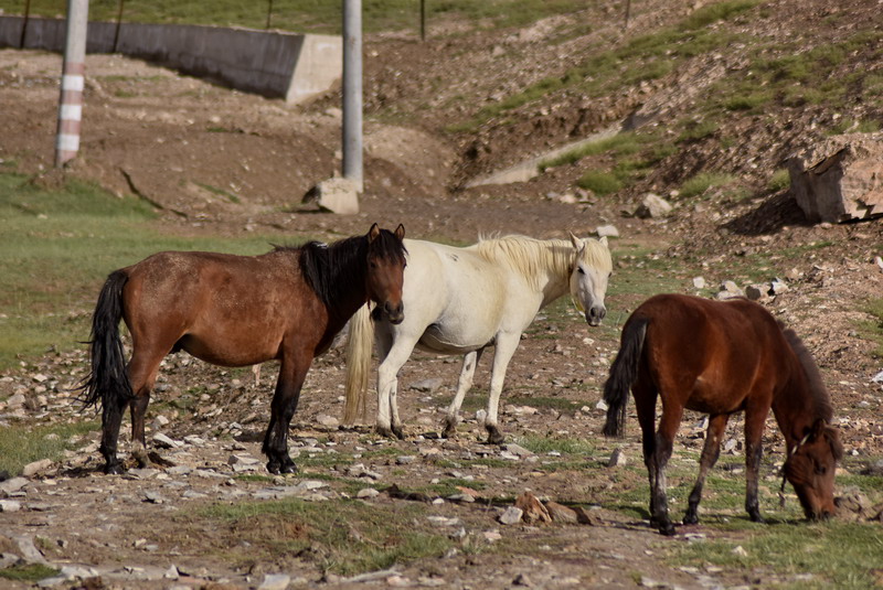 dsc_6895.jpg