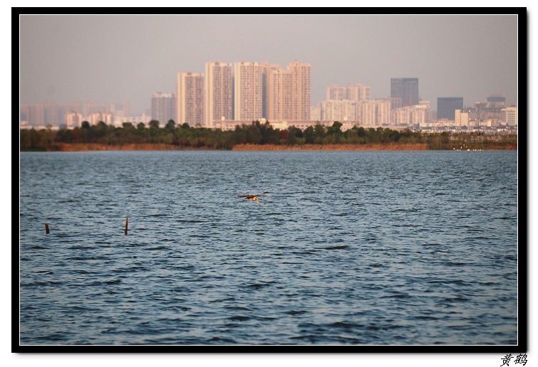 ٺ--赺096.jpg