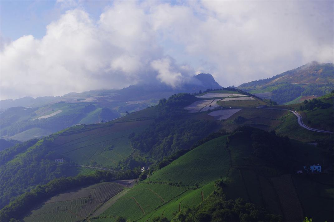 _igp7717.jpg