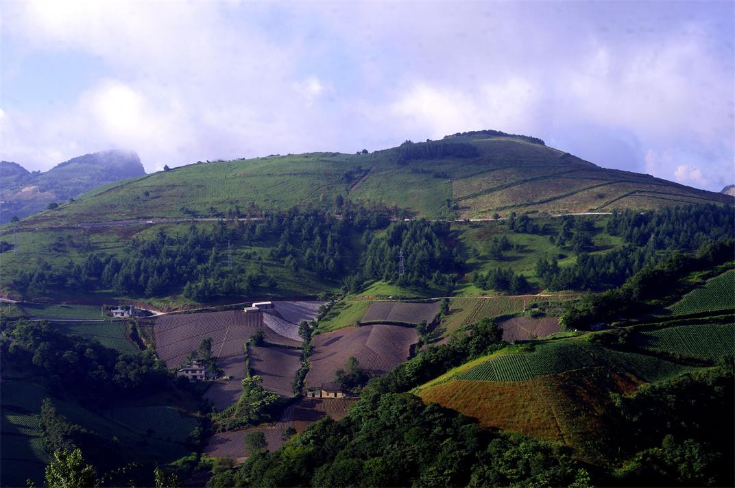 _igp7722.jpg