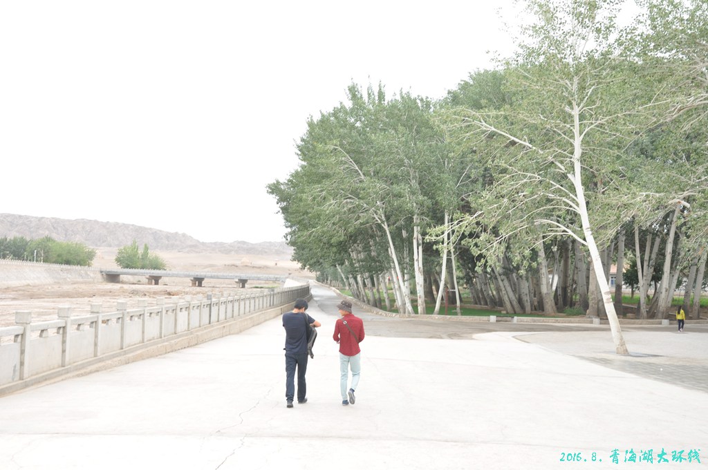 青诲湖环线1216.jpg
