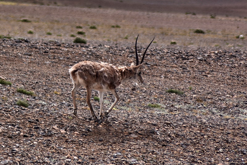 dsc_7094.jpg