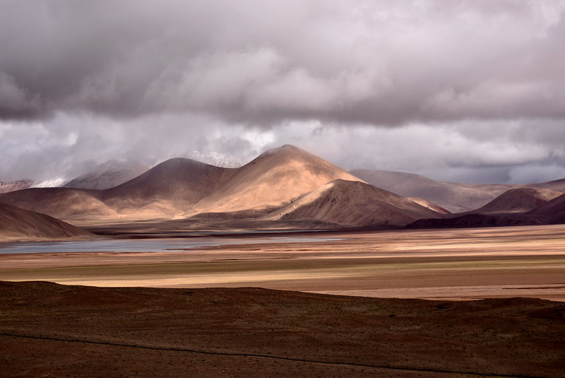 dsc_7113.jpg
