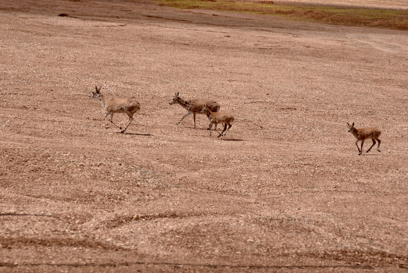 dsc_7123.jpg