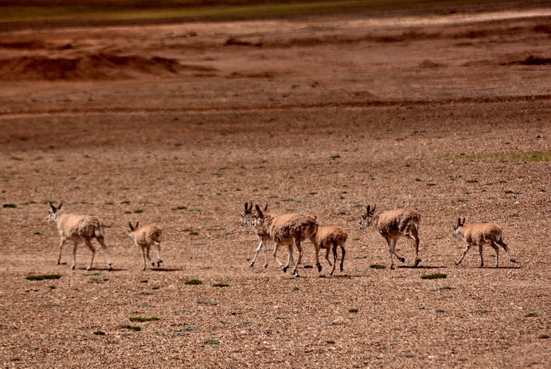 dsc_7127.jpg