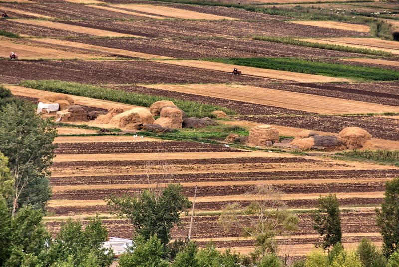 dsc_7244.jpg
