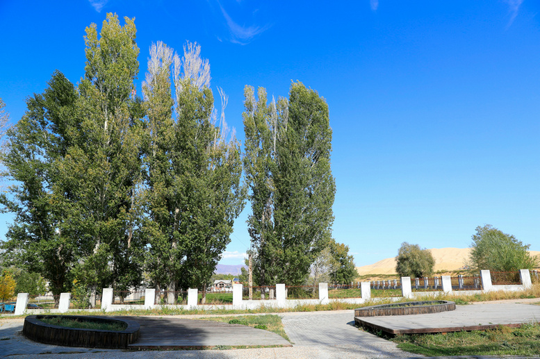 ce6i6488_副本_1.jpg