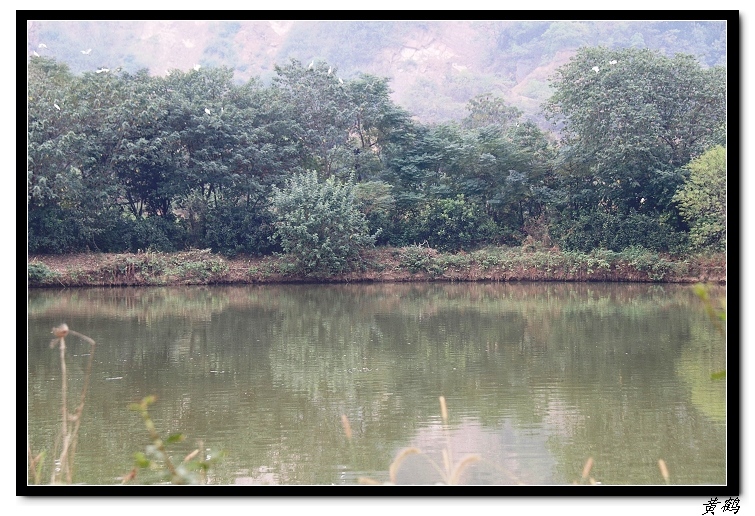 ٺ--ɽͷ16.jpg