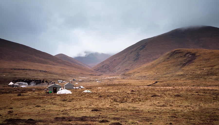 _dsc8993.jpg