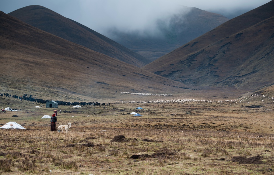 _dsc8998.jpg