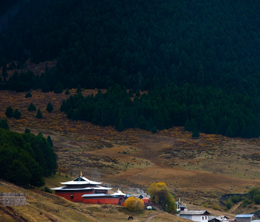 _dsc9074.jpg