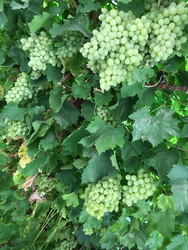 qqͼƬ20161008183025_.jpg