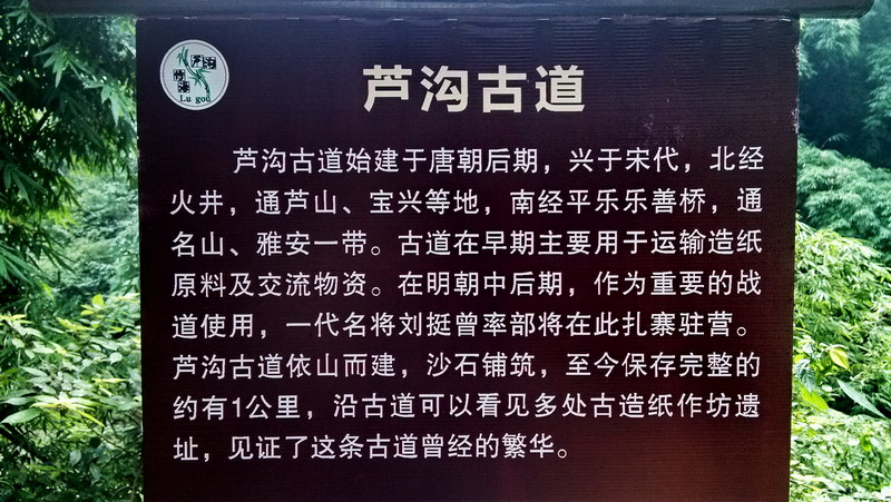 img_20150813_095613.jpg