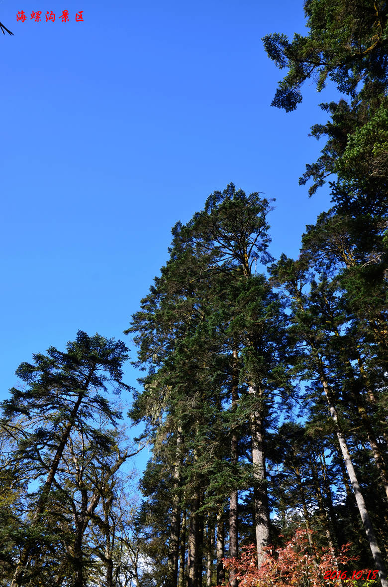 dsc_0450.jpg