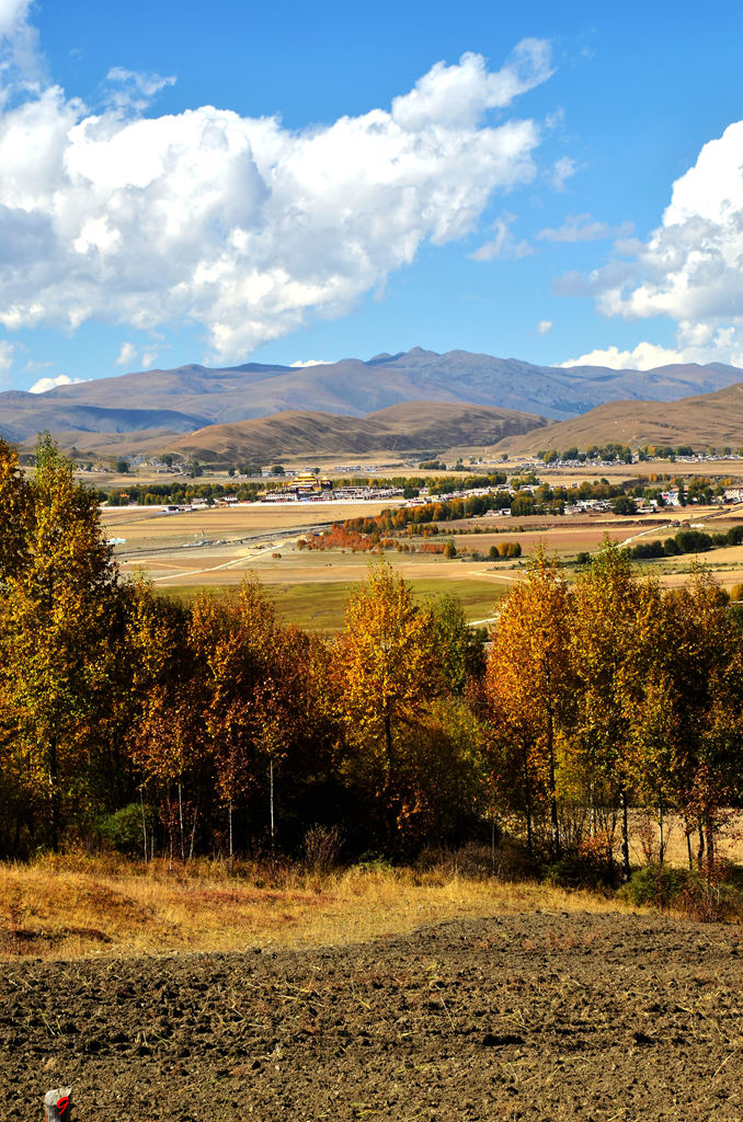 dsc_1900.jpg