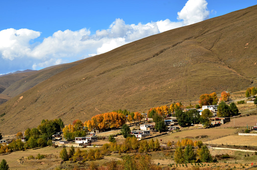 dsc_1937.jpg