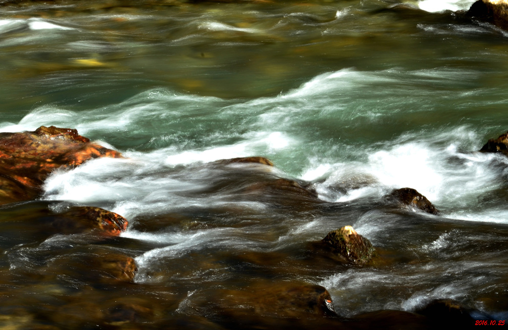 dsc_2577.jpg