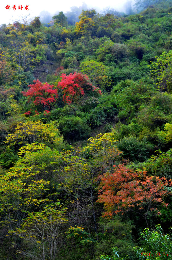 dsc_2802.jpg