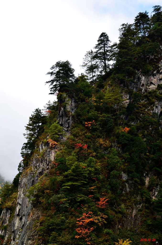dsc_2865.jpg