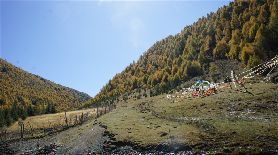 dsc05014_.jpg
