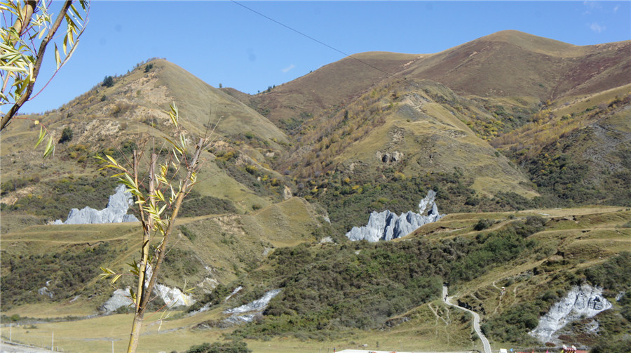 dsc04990_.jpg