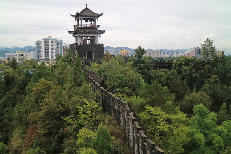 img_5785_副本.jpg