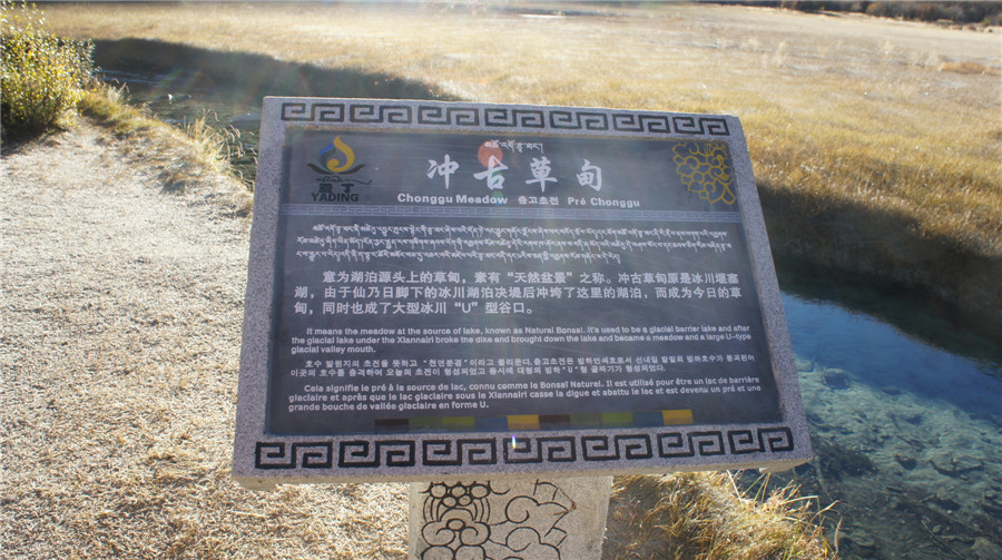 dsc04602_.jpg