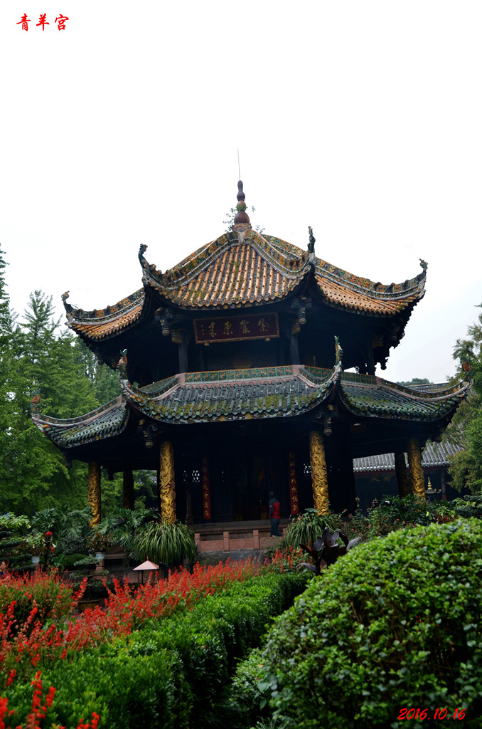 dsc_0162.jpg